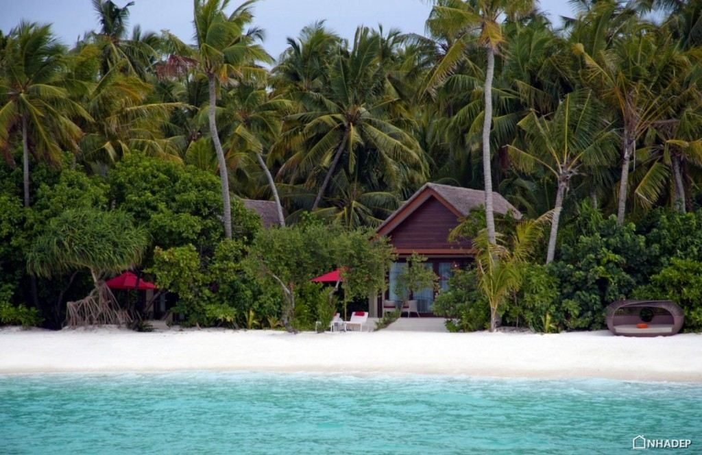 Khu nghi duong Niyama Maldives_01