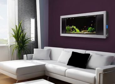 Bể cá treo tường theo phong thủy – Đẹp, hiện đại và may mắn