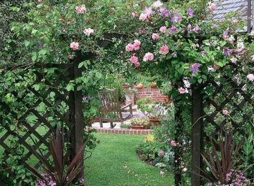 Lối vào nhà vườn thơ mộng với cổng hoa