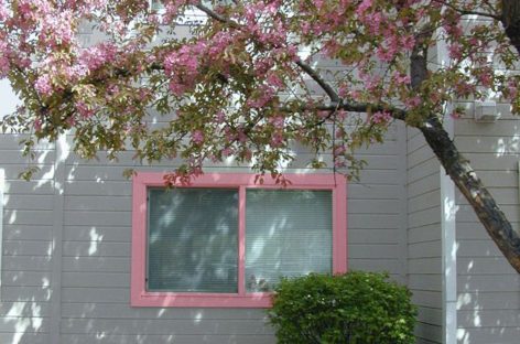 Cẩm nang sửa nhà – Bài 18: Thấm dột khung cửa, cửa sổ tường ngoài