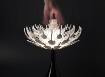 Vẻ đẹp độc đáo của chiếc đèn 3D Bloom Table Lamp