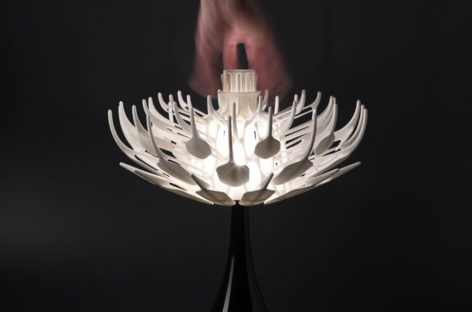 Vẻ đẹp độc đáo của chiếc đèn 3D Bloom Table Lamp