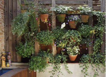 Vườn cây thẳng đứng dành cho không gian hẹp