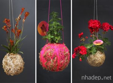 5 mẫu thiết kế chậu hoa độc đáo và sáng tạo