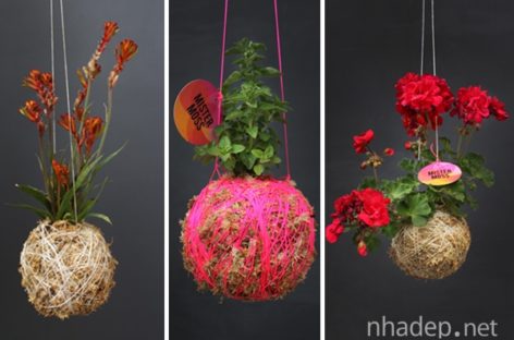 5 mẫu thiết kế chậu hoa độc đáo và sáng tạo