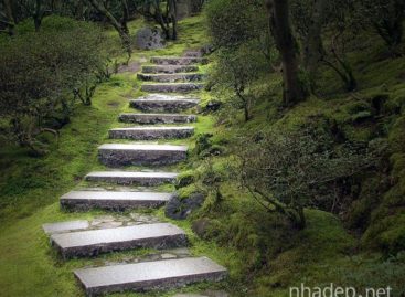 Những bậc thang nhỏ cho khu vườn thơ mộng