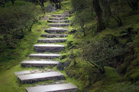 Những bậc thang nhỏ cho khu vườn thơ mộng