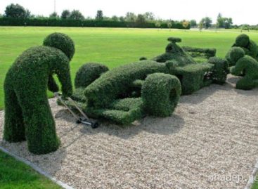 15 ý tưởng nghệ thuật cho sân vườn sang trọng