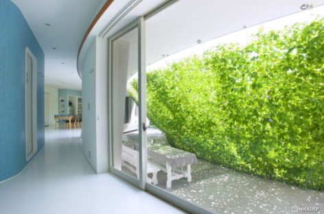 Mảng tường xanh ấn tượng trong ngôi nhà hiện đại Nhật Bản