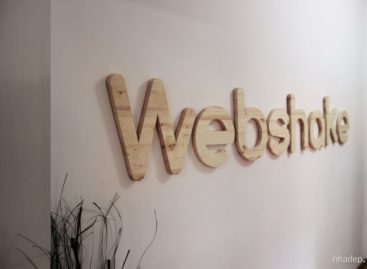 Văn phòng Webshake do Monica Corduneanu thiết kế