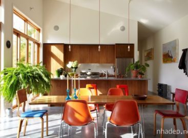 Confluence House – Kiến trúc nhà ở thân thiện với môi trường