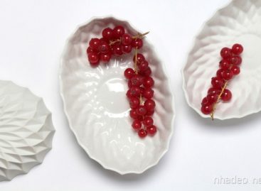 Bộ sưu tập bát đĩa sứ thanh lịch cho bàn ăn