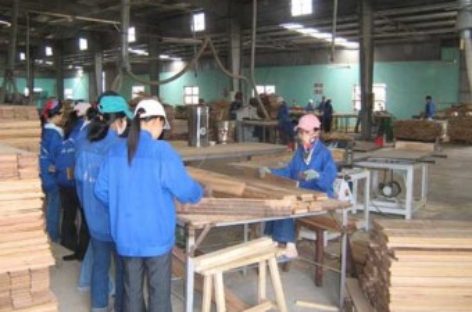 Phát triển bền vững công nghiệp gỗ: Giảm dần sự phụ thuộc vào nguyên liệu nhập khẩu