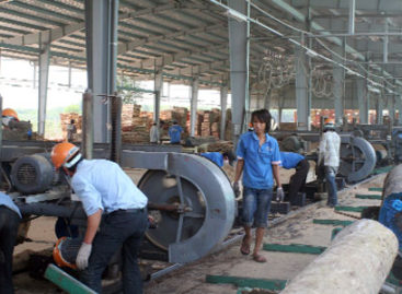 Doanh nghiệp gỗ Việt Nam bị thôn tính trên sân nhà
