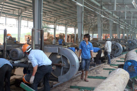 Doanh nghiệp gỗ Việt Nam bị thôn tính trên sân nhà