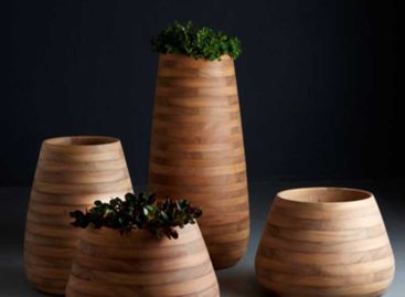 Chiêm ngưỡng thiết kế độc đáo của chậu cây Tuber làm từ gỗ Iroko
