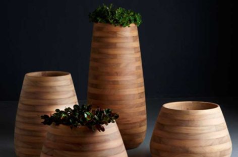 Chiêm ngưỡng thiết kế độc đáo của chậu cây Tuber làm từ gỗ Iroko
