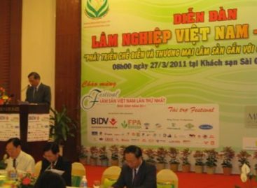 Những bất cập trong quá trình phát triển ngành gỗ Việt Nam