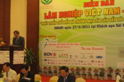 Những bất cập trong quá trình phát triển ngành gỗ Việt Nam