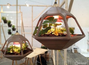 8 mẫu vật dụng nội thất thiết kế theo nghệ thuật trồng cây terrrarium