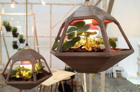 8 mẫu vật dụng nội thất thiết kế theo nghệ thuật trồng cây terrrarium