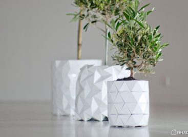 GROWTH – chậu cây origami lớn dần theo cây