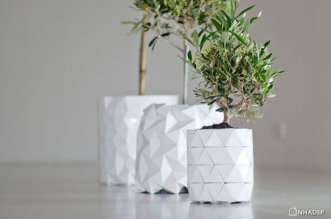 GROWTH – chậu cây origami lớn dần theo cây