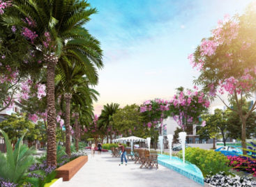 Rio Land – Nhà phát triển bất động sản chuyên nghiệp