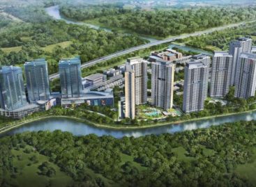 Palm City: Bình yên ven sông, sáng bừng sức sống