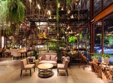 Nhà hàng tại Thái Lan có thiết kế độc đáo như một khu vườn