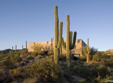 Lạ mắt với ngôi nhà có kiến trúc độc đáo giữa sa mạc Sonoran
