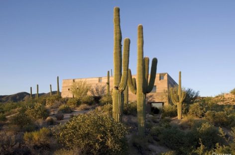 Lạ mắt với ngôi nhà có kiến trúc độc đáo giữa sa mạc Sonoran