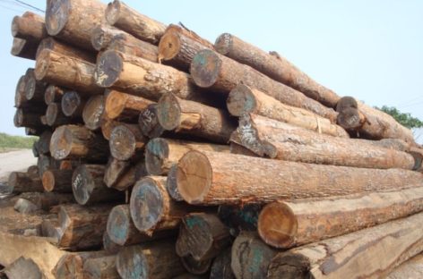 Các loại vật liệu thường sử dụng trong sản xuất đồ gỗ (Phần 1)