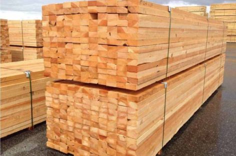 Các loại gỗ mềm thông dụng (Phần 4) – Gỗ Linh sam