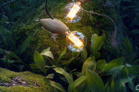 Những chiếc đèn độc đáo dành cho người yêu động vật