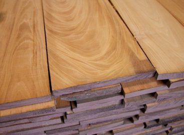 Quy định phân hạng dành cho gỗ cứng Bắc Mỹ (Phần 1)