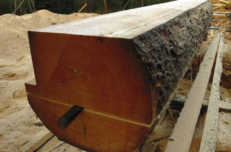 Ứng dụng trong kết cấu và khả năng chịu lực của các loại gỗ cứng Hoa Kỳ (Phần 1)