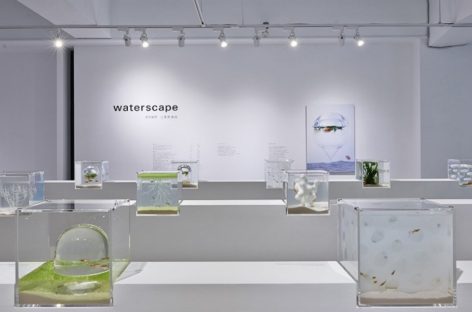 Vẻ đẹp của bể cá kết hợp công nghệ in 3D của Haruka Misawa