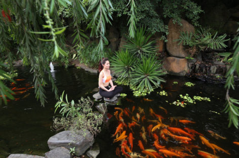Phong cách sống mới ở Dragon Village