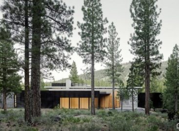 Creek House- Ngôi nhà bảo vệ những tảng đá trên dốc núi California